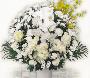 フローラA生花（ホワイト）