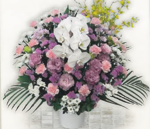 フローラA生花（ピンク）