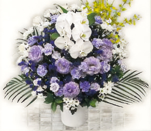 フローラA生花（ムラサキ）